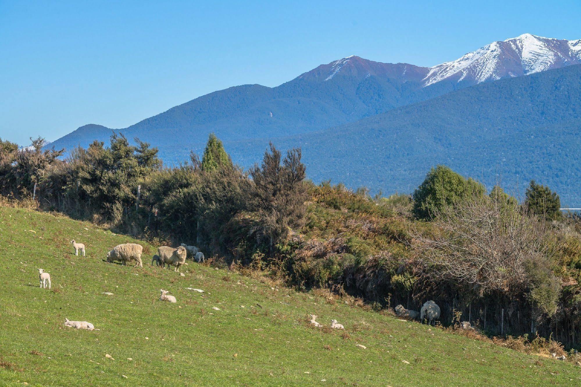 Loch Vista Bed & Breakfast Te Anau Kültér fotó